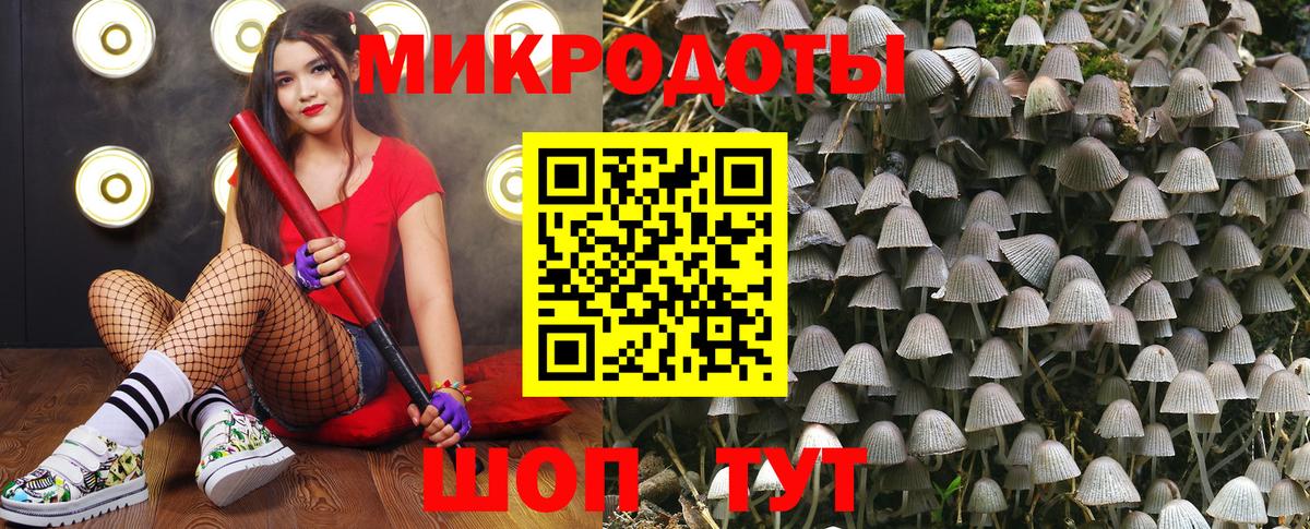 Галлюциногенные грибы Psilocybe  Галлюциногенные грибы ЛСД  Вход с VPN  Иваново 