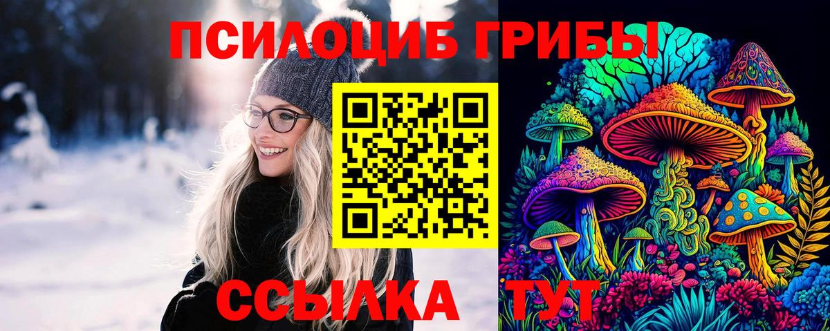 APVP Иваново